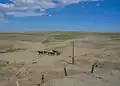 Pferde am Nordrand der Gobi