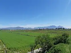 Landwirtschaftsflächen, im Hintergrund das Tafelbergmassiv