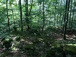 Ehemaliger Palas (Juli 2015)