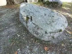 Schalenstein von Magnieu