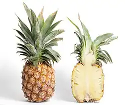 Ananas