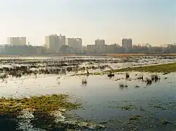 Pinnauniederung bei Pinneberg