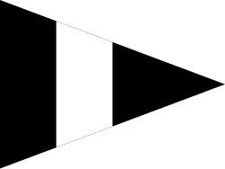 Kompaniechef Pionierkompanie