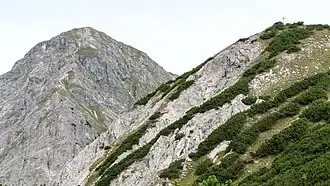 Aufnahme von unterhalb des Satteljochs mit Blickrichtung Nord, Aufstiegsweg zum Plumsjoch.
