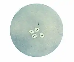 Foto von Bakterien mit Polysaccharid-Kapsel