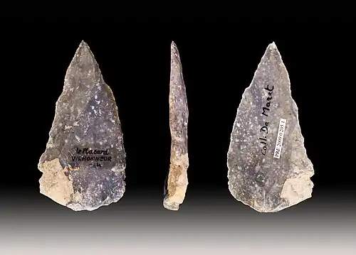 Spitze in Levalloistechnik, Mittelpaläolithikum