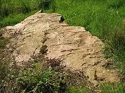 Polissoirs von Poussendre