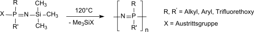Polyorganophosphazene aus funktionellen Phosphoraniminen
