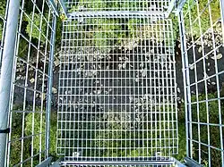 Blick von der Brücke auf den ca. 36 Meter tiefer fließenden Lima