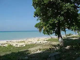 Küste bei Port Salut