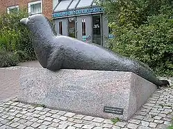 Seehund (Lübeck)
