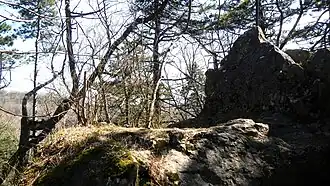 Predigerstuhl: Sitzfläche und Rückenlehne