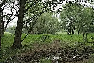 Landschaftsschutzgebiet am Saynbach