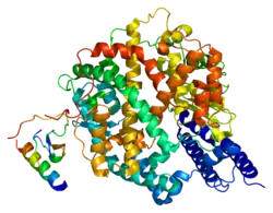 Angiotensin-konvertierendes Enzym 2
