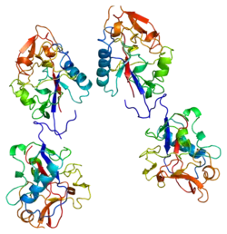 Kollagen Typ XVIII, alpha 1