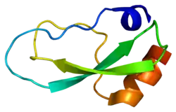 Kollagen Typ VI, alpha 3