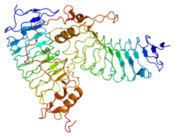 Glykoprotein Ib