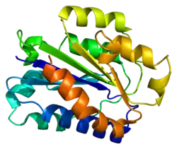 Integrin alpha-X