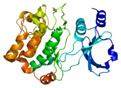 Serin/Threonin-Proteinkinase PAK 6