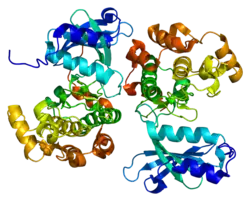 Serin/Threonin-Proteinkinase PAK 5
