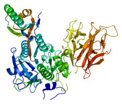 Proproteinkonvertase Subtilisin/Kexin Typ 9