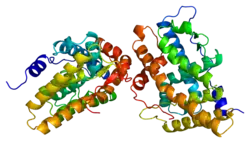 Progesteron-Rezeptor