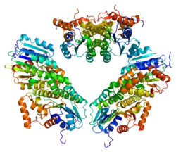 Sepiapterin-Reduktase