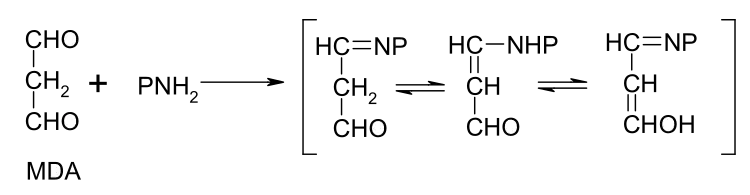 Protein-Cross-Link durch Addition von Malondialdehyd an Protein-Aminogruppen