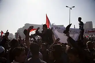 Anti-Muslimbruderschaft-Parolen skandierende Demonstranten[316]