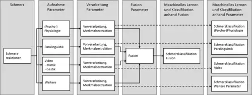 Vereinfachter Prozess der Automatisierten Schmerzerkennung. Ablauf von links nach rechts: Entstehung des Schmerzes, Aufnahme der Schmerzreaktionen, (optionale) Fusion der Modalitäten, Schmerzklassifikation anhand Fusion, Schmerzklassifikation anhand einzelner Parameter.