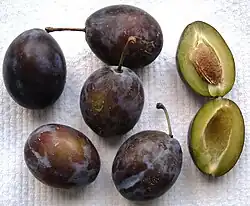 Früchte der Sorte Elena