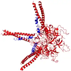 Prokaryotisches Ubiquitin-artiges Protein (Pup)