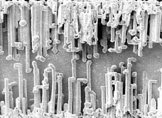 Elektro­chemisch geätzte (auf­geraute) Oberfläche einer 400 V-Hochvolt-Anodenfolie eines Aluminium-Elektrolytkondensator