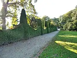 Römischer Garten Blankenese Girlandenhecke