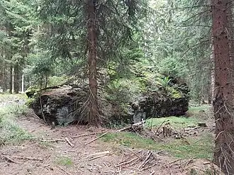 Den höchsten Punkt des Rabenbergs bildet ein Felsen, auf dem sich ein alter Vermessungspunkt befindet.