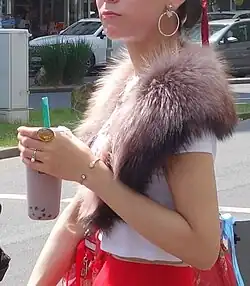 Waschbärkragen (2024)