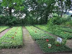 Diakonissengräber Alter Friedhof