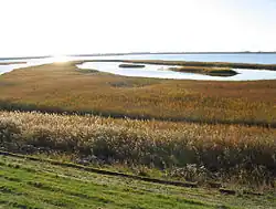Blick über das Naturschutzgebiet Rantumbecken