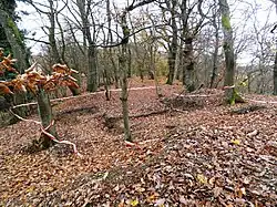 Der Galgenküppel nach Abschluss der Ausgrabung 2024