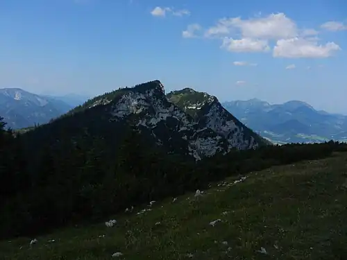 Blick vom Streicher nach Westen zum Hinteren Rauschberg (1671 m) und zum Roßgassenkopf (1650 m)