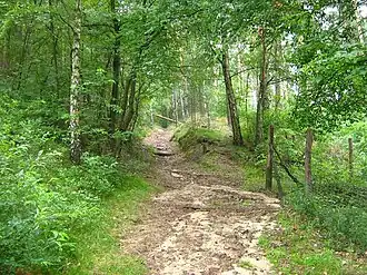 Am Großen Ravensberg