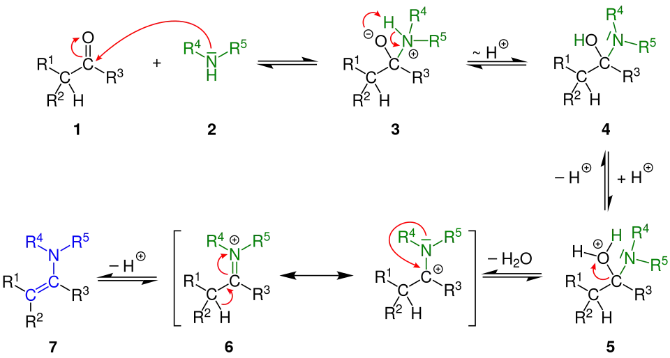 Reaktionsmechanismus der Enamine-Bildung aus einer Carbonylverbindung und einem sekundären Amin unter saurer Katalyse
