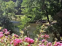 Die Bahnstrecke Ulm-Sigmaringen überquert bei Rechtenstein die Donau