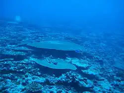 Meeresschutzgebiete in Amerikanisch-Samoa