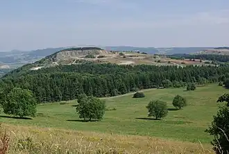Reesberg in der Rhön