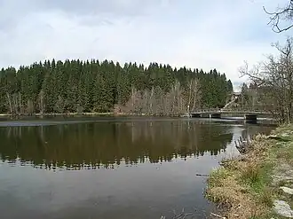 Am mittleren Bereich des Regener Sees