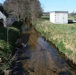 An der Haßlocher Fohlenweide
