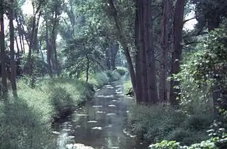 Oberhalb von Rheingönheim