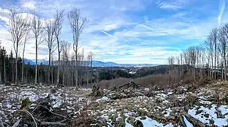 Rehberg, Blick nach Westen