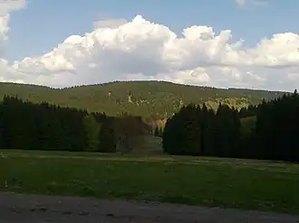 Der Reischelberg bei Neustadt am Rennsteig. Im Vordergrund die Mondscheinwiese und das obere Reischeltal